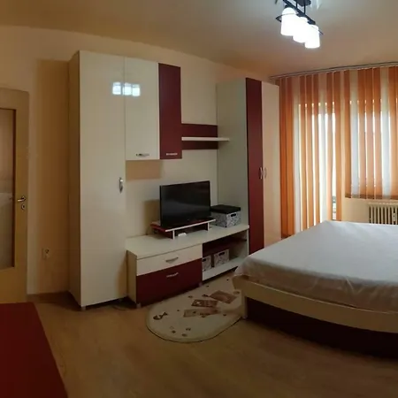 Apartament Raul Constanta